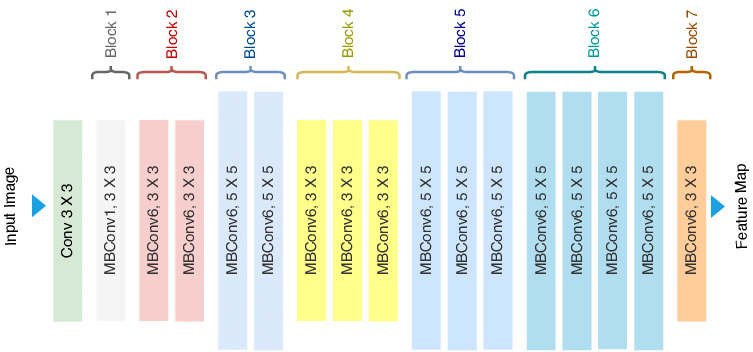 Architecture of EfficientNet B0 with MBConv as Basic building blocks