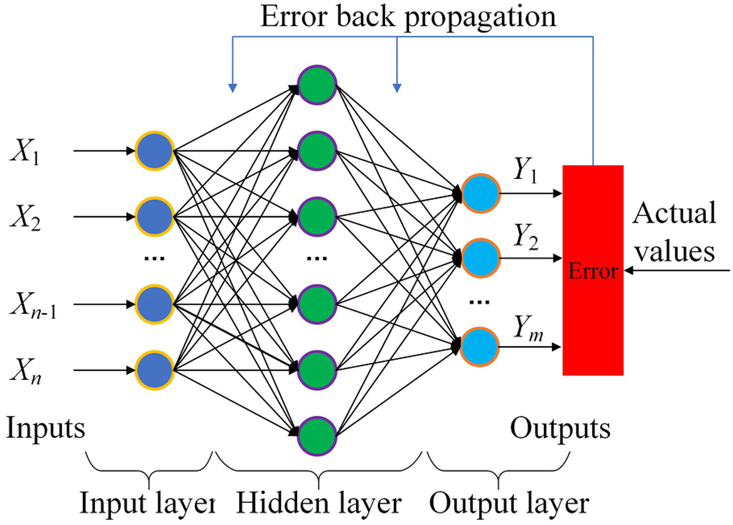 neural network structure