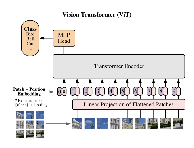 vision transformer